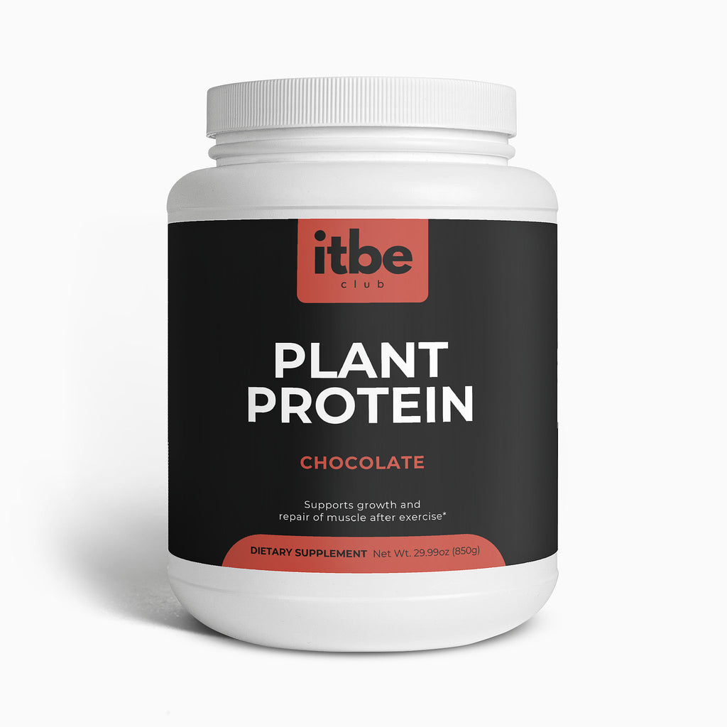 Plant Protein — Chocolate | 21 g Complete Protein from Fava Bean & Fermented Yeast + MCTs (850 g)