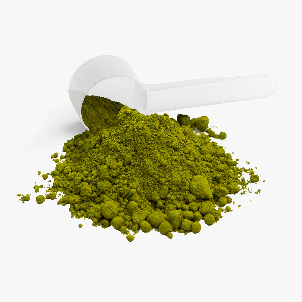 Focus Matcha Powder — Ceremonial Grade, Shade-Grown, Stone-Ground (54 g)